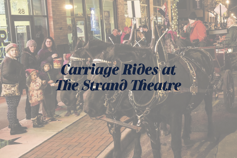 Carriage Rides