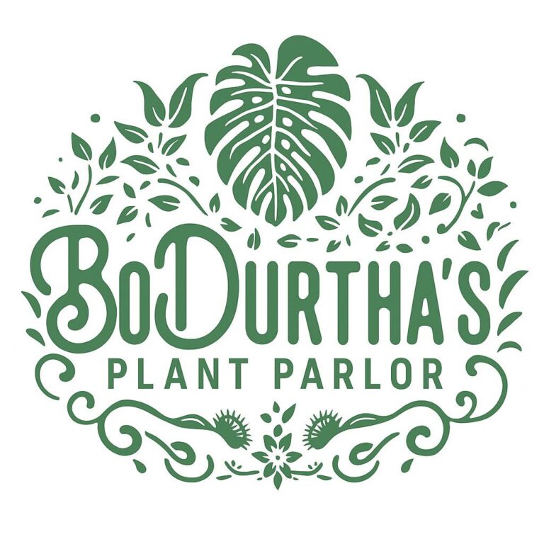 497860428 122103568130868268 5344242018234230499 n 768x768